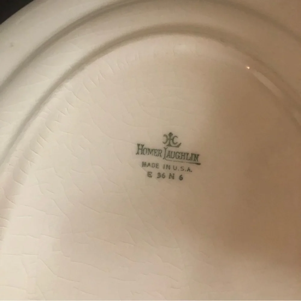 Homer Laughlin Platter MCM orange black flower daisy some crazing very good